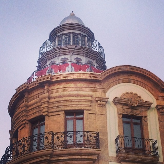 дом бабочек в Альмерии