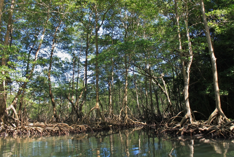 Parque Nacional Los Haitises