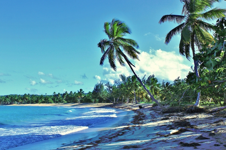 Playa Las Terrenas