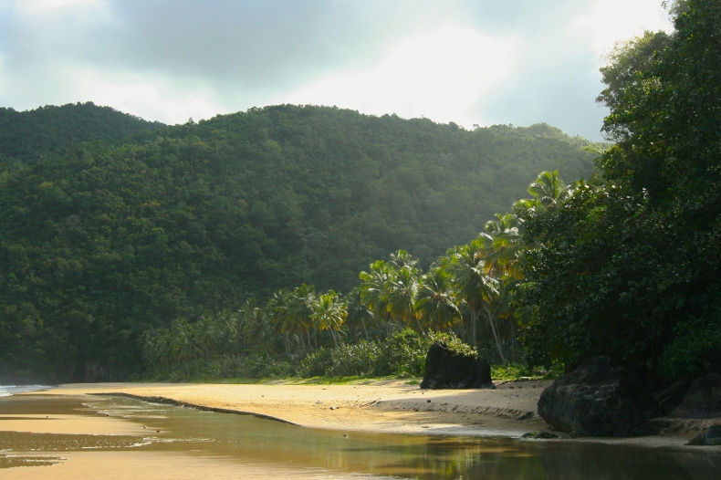 Playa El Valle