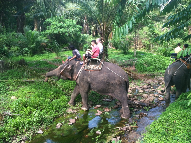 Elephant Trek