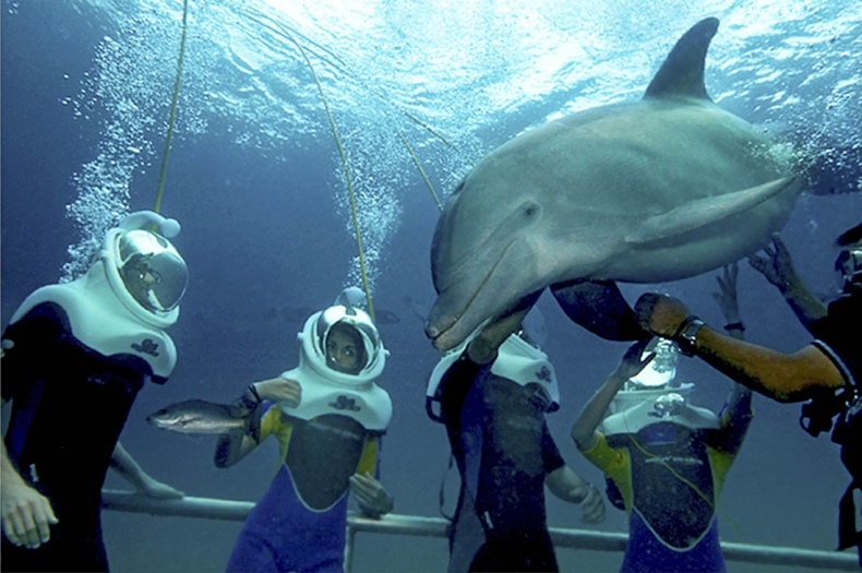 Mexico's “Natural” Theme Park