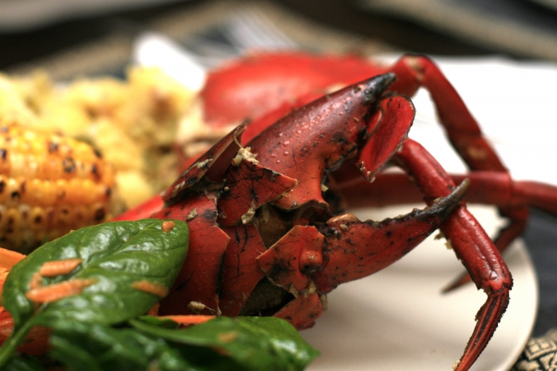 Sri Lankan Crab