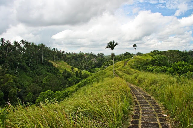 Trekking