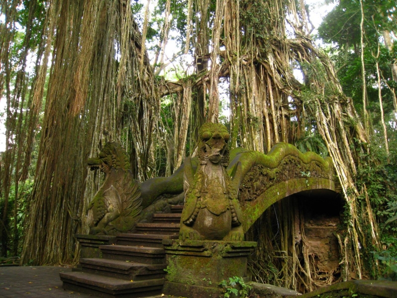 Sacred Monkey Forest Sanctuary